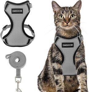 Like New Medium/Large cat harness